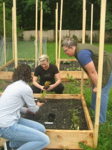 Andrea Hamley and Heather Wahl are hard at work gardening. 