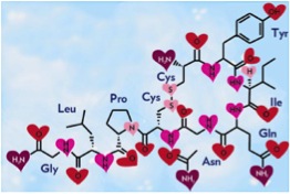 Oxytocin makes us more empathetic and bonds us to others. That is why it is called the “love hormone.” Image from http://www.sci-news.com.