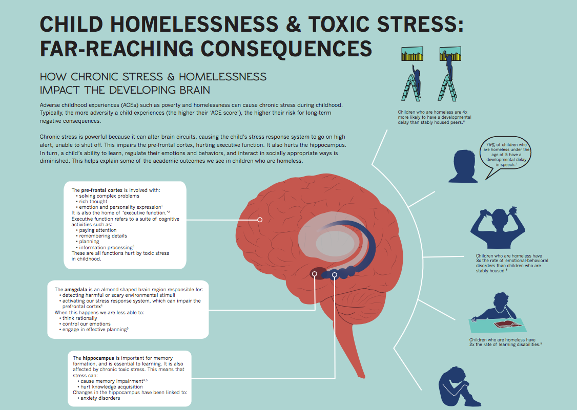 Once just an infographic, this research on child homelessness and toxic stress is now a full-fledged professional development class at Seattle University this summer for school and social-service professionals. <span class="s1"><a href="http://firesteelwa.org/wpsystem/wp-content/uploads/2014/12/big-brain-infographic.pdf" target="_blank">See the full infographic here.</span></a>