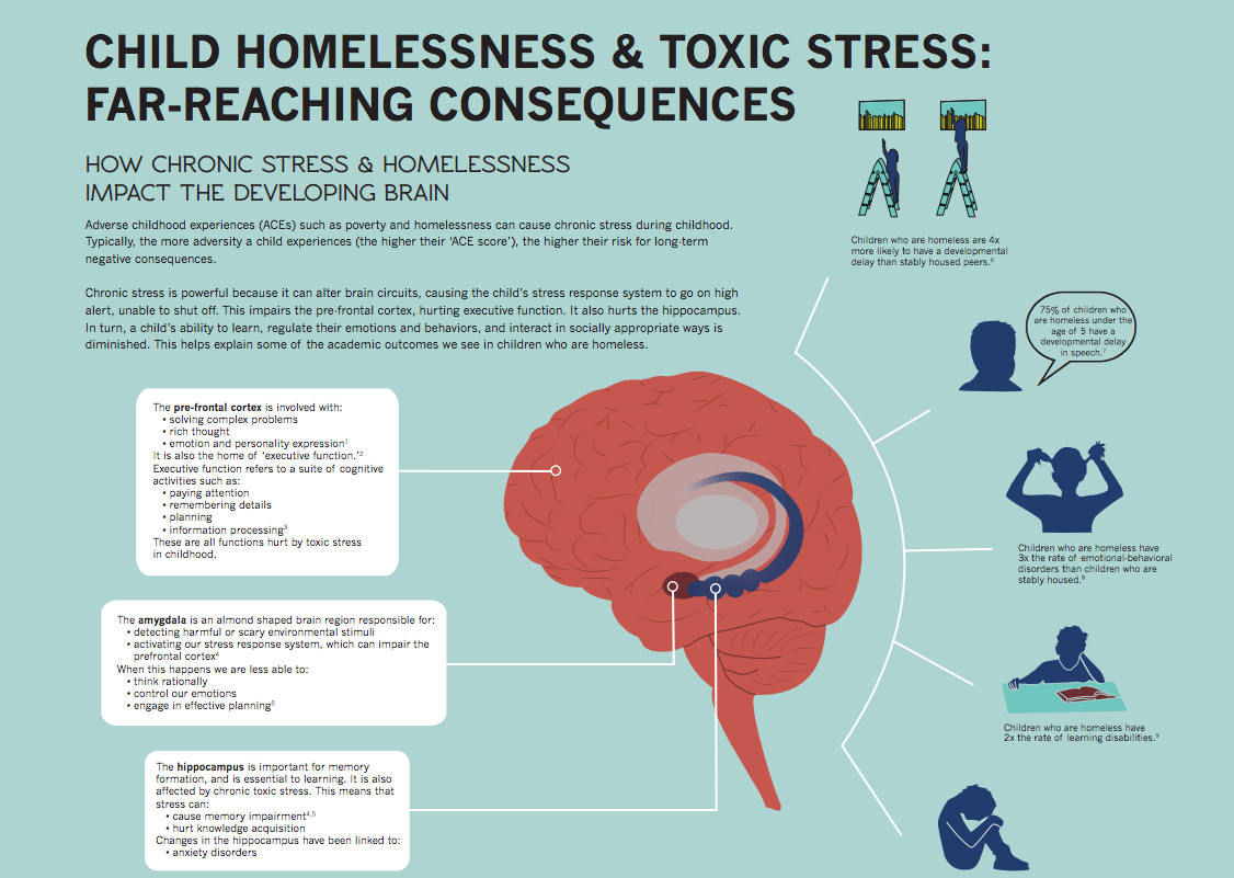 What is toxic stress?